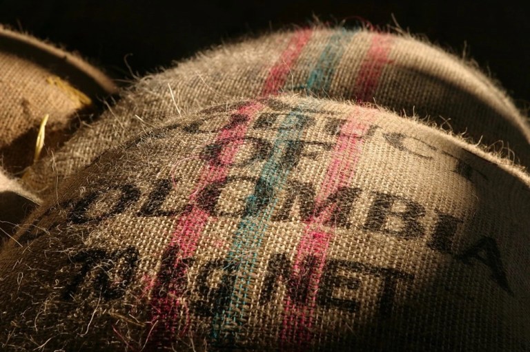 20200130_043541788_iOS