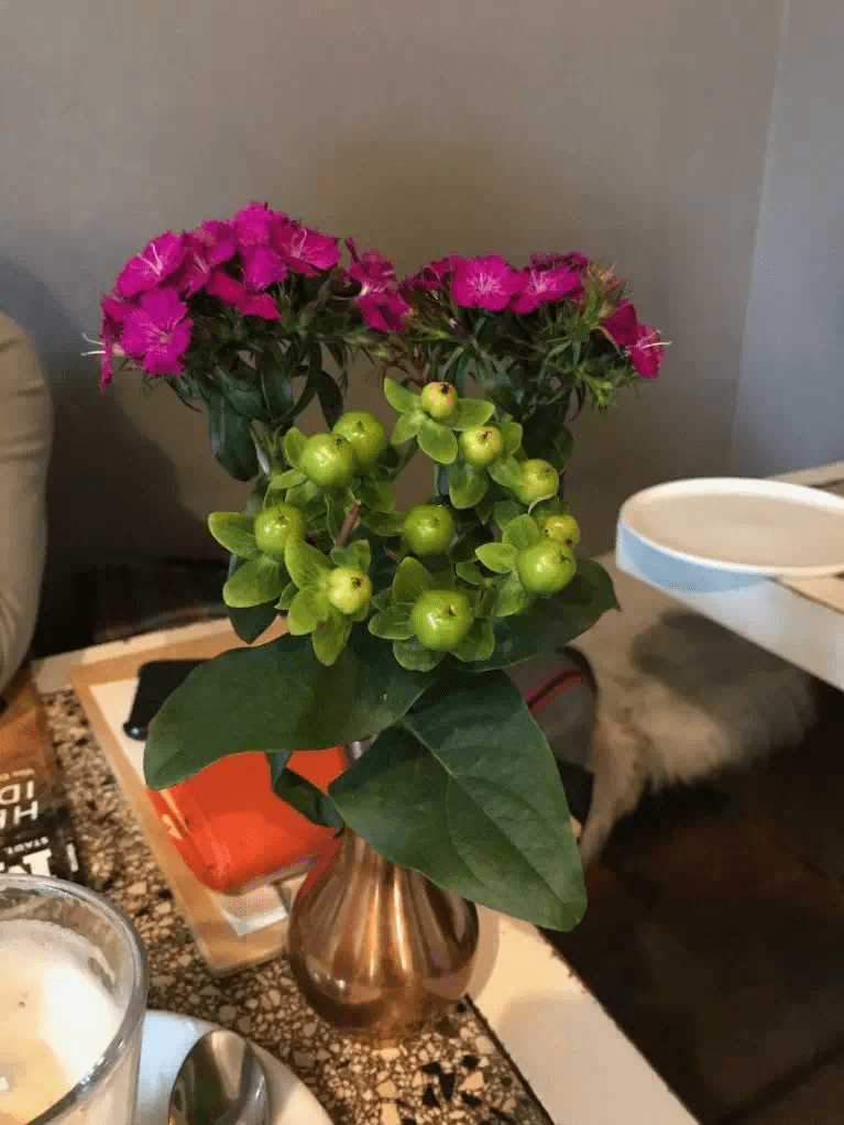 20200130_043658232_iOS