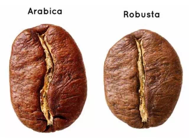 20200130_043738612_iOS