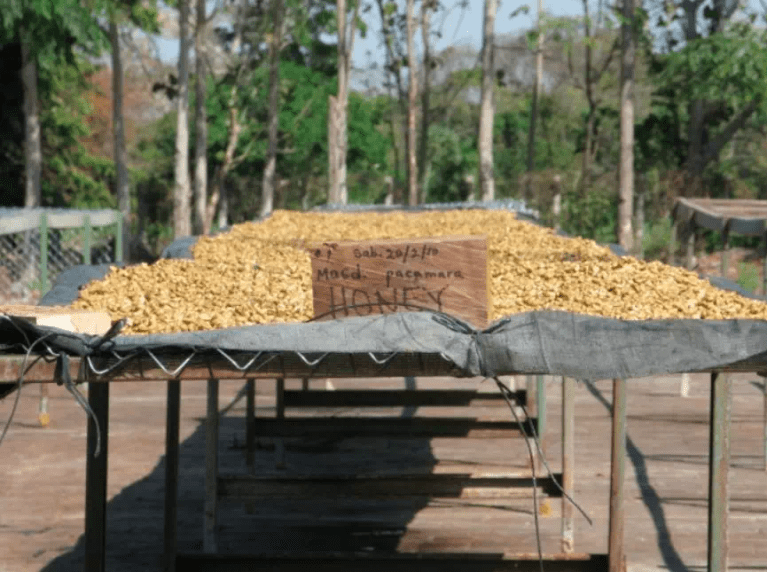 20200130_044316904_iOS