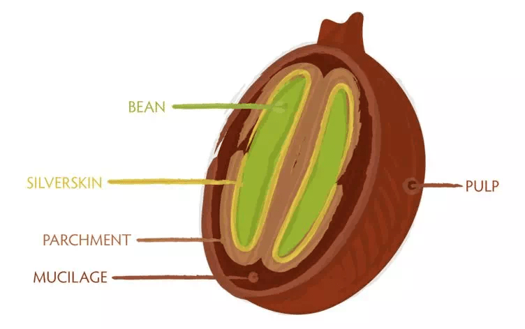 20200130_044336190_iOS