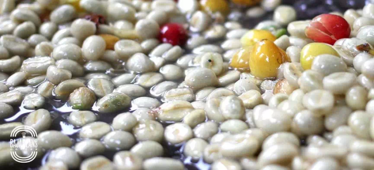 20200130_044343900_iOS