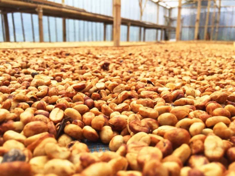 20200130_044350741_iOS