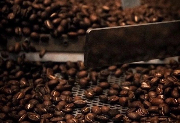 20200130_044527050_iOS