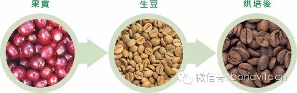 20200130_044719980_iOS