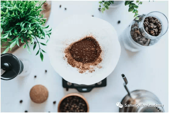 20200223_040445157_iOS