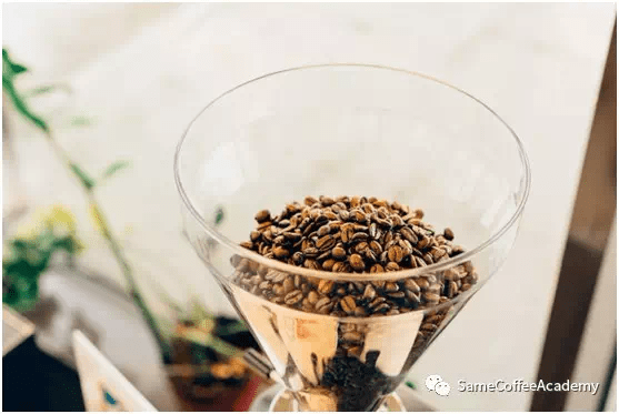 20200223_040456011_iOS