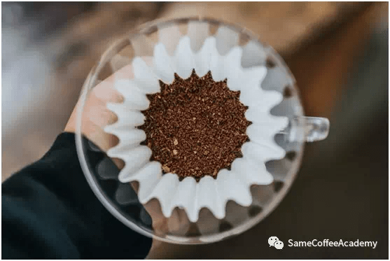 20200223_040506519_iOS