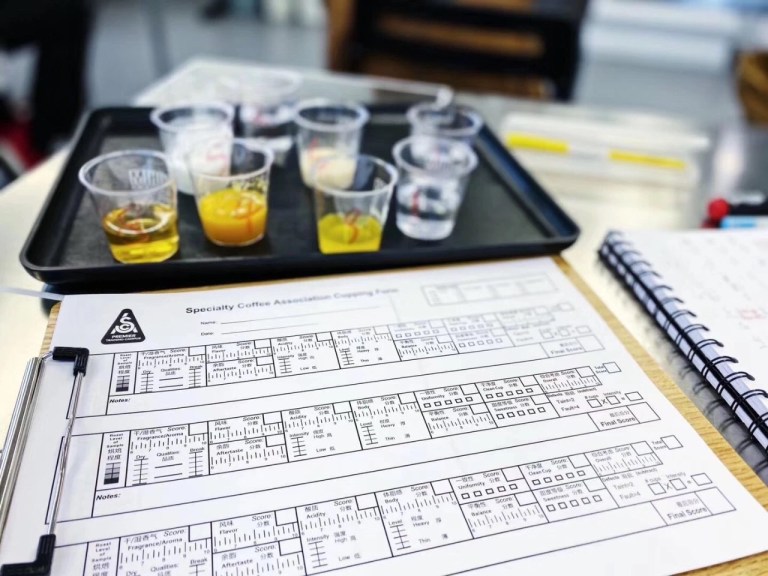 20200227_033801466_iOS