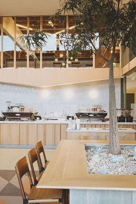 20200302_033749445_iOS