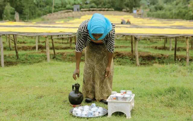 20200311_053444950_iOS