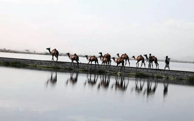 20200311_053447659_iOS