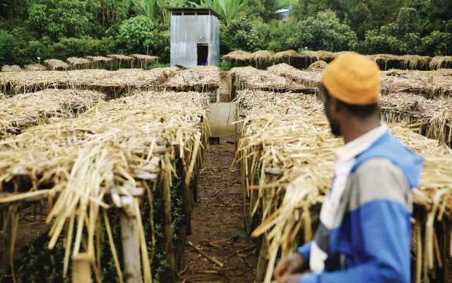 20200311_053450775_iOS