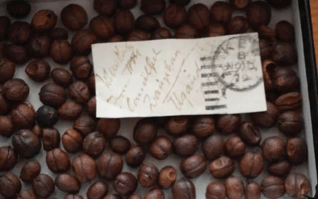 20200311_053456672_iOS