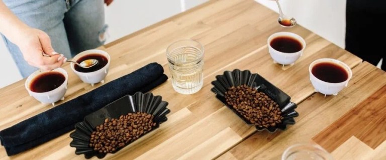 20200311_053538466_iOS