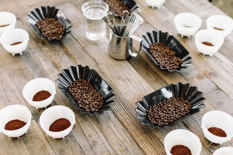 20200311_053553623_iOS