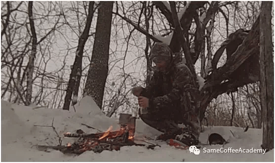 20200330_023529647_iOS