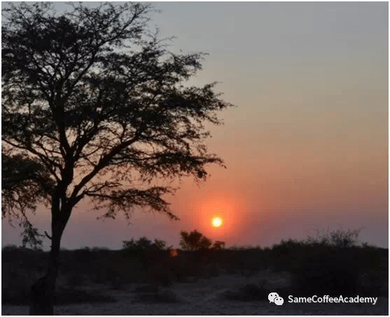 20200330_023539219_iOS