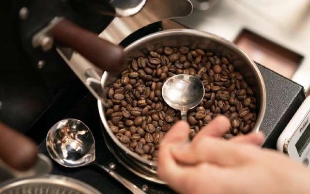 20200411_033634411_iOS