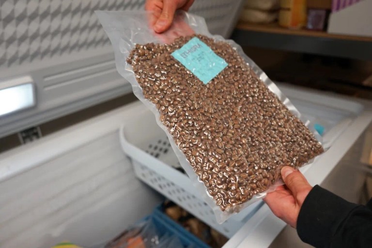 20200428_034649811_iOS