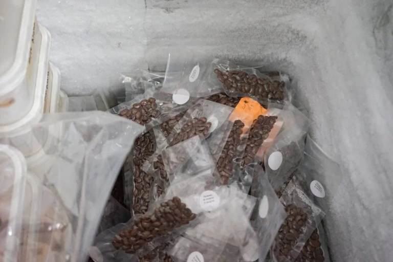 20200428_034701616_iOS