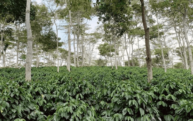 20200428_034817405_iOS