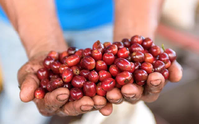 20200428_034820554_iOS