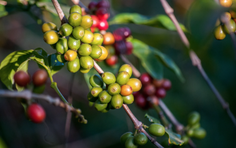 20200428_035153446_iOS