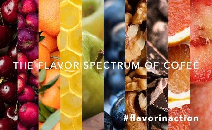 20200511_054138033_iOS