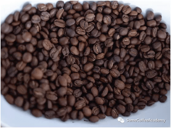 20200519_041907699_iOS