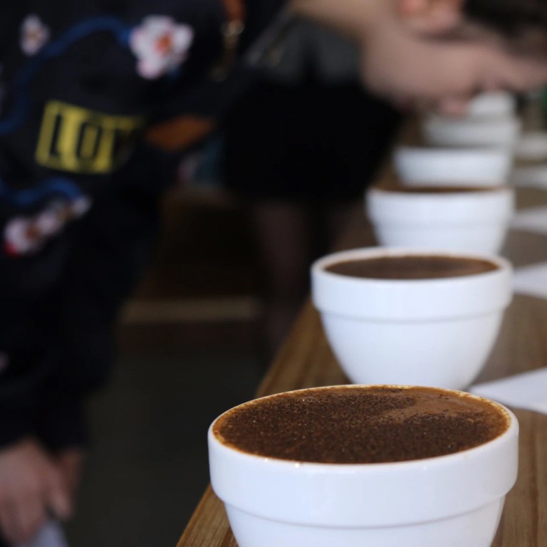 20200531_013528700_iOS