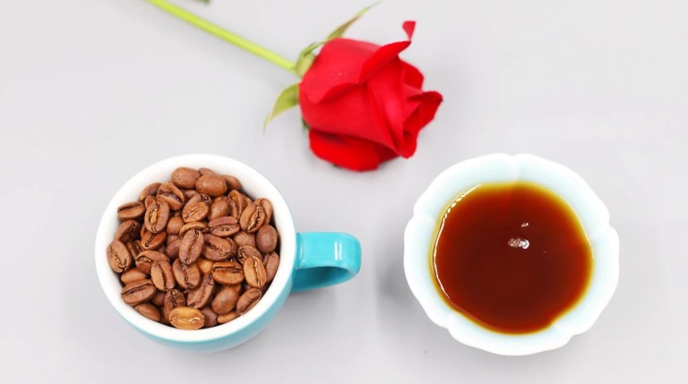 20200531_013546785_iOS