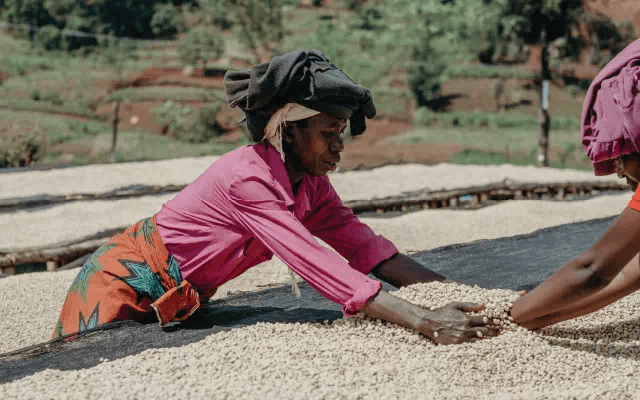 20200531_013852113_iOS