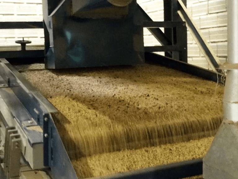 20200609_045959444_iOS