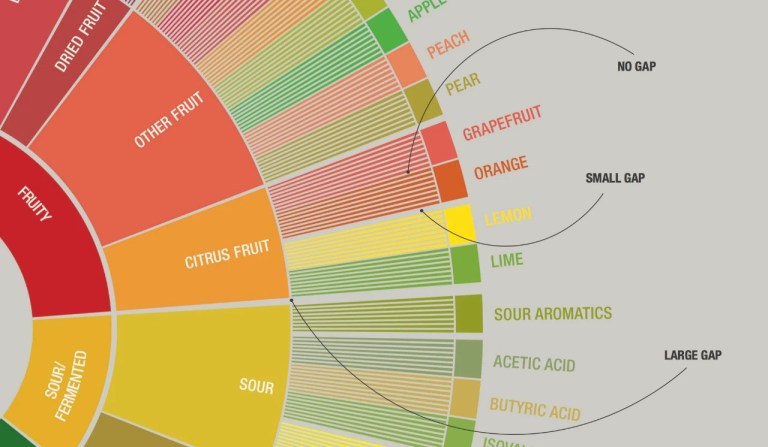 20200609_050233768_iOS