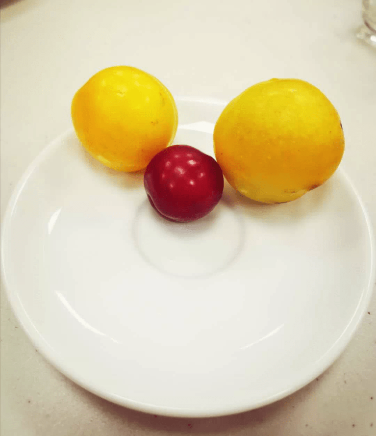 20200609_050251940_iOS