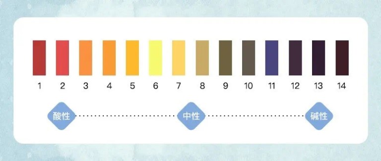 20200609_050659504_iOS