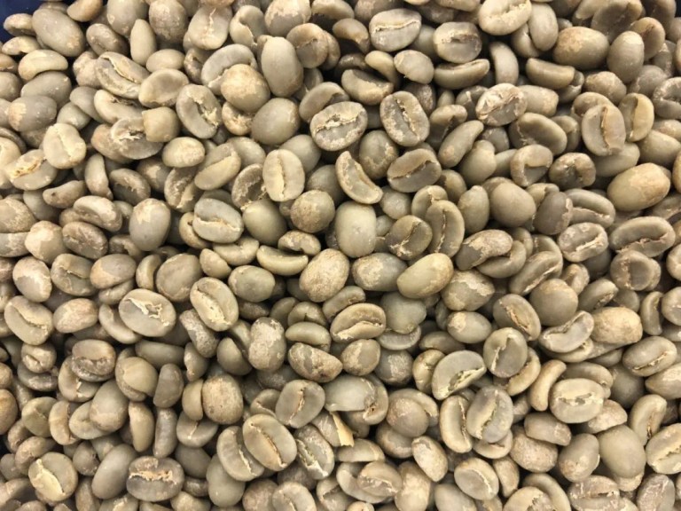 20200617_161004980_iOS