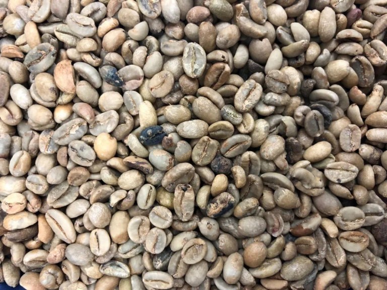 20200617_161008078_iOS