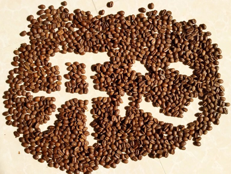 20200617_161653199_iOS