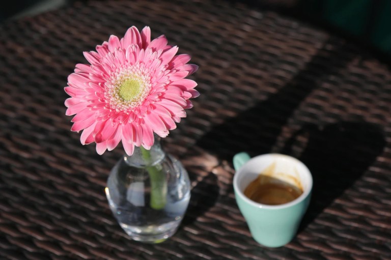 20200617_161656375_iOS