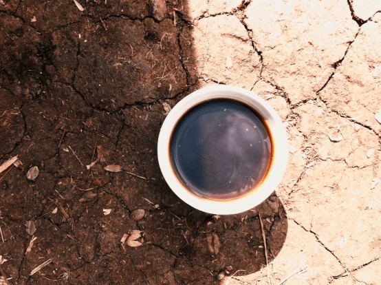 20200624_060420212_iOS