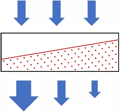 20200709_053936668_iOS