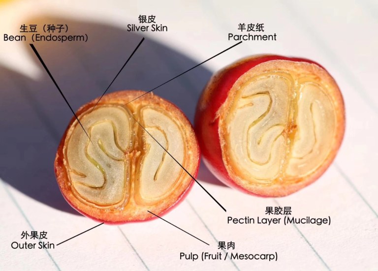 20200709_054121866_iOS