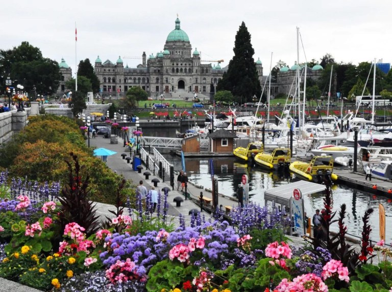 20200714_043213017_iOS