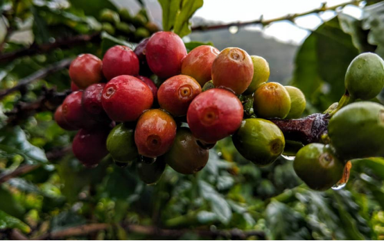 20200716_055030234_iOS