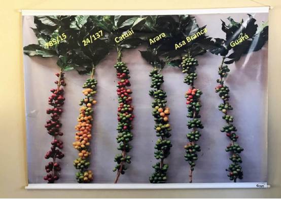 20200716_055039542_iOS