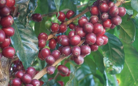 20200716_055047844_iOS