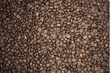 20200726_052316366_iOS