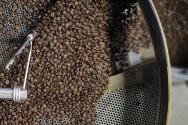 20200726_052331255_iOS